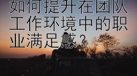 如何提升在团队工作环境中的职业满足感？