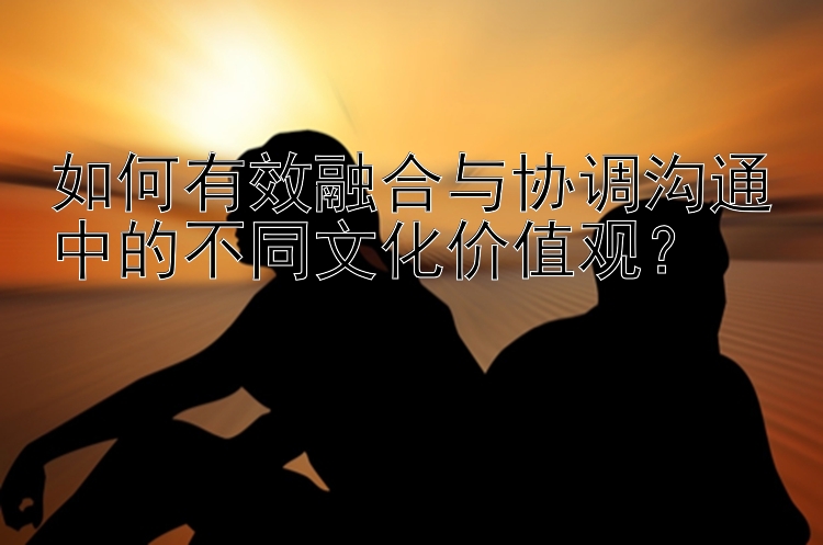 如何有效融合与协调沟通中的不同文化价值观？