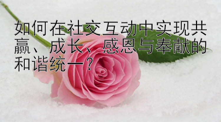 如何在社交互动中实现共赢、成长、感恩与奉献的和谐统一？