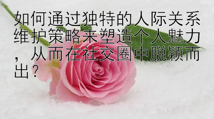 如何通过独特的人际关系维护策略来塑造个人魅力，从而在社交圈中脱颖而出？